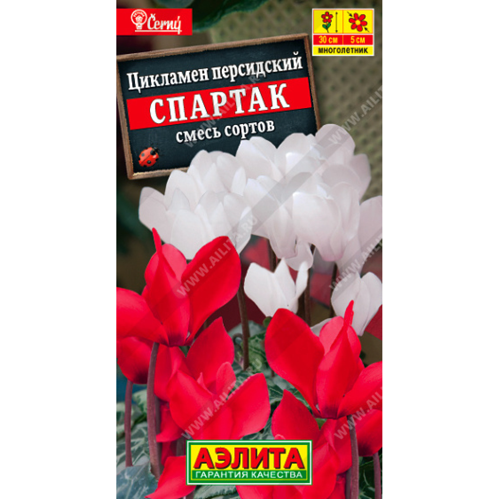 Купить Семена Цикламена Недорого