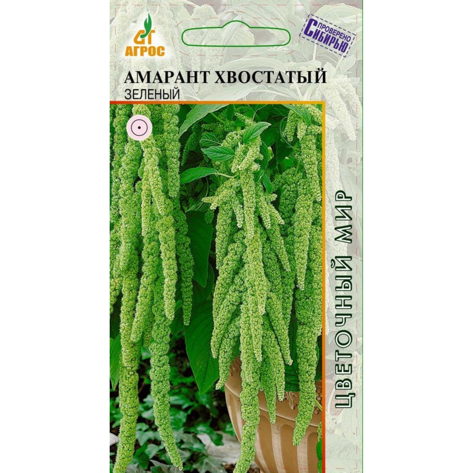 Амарант Растения Семенами Купить Семена