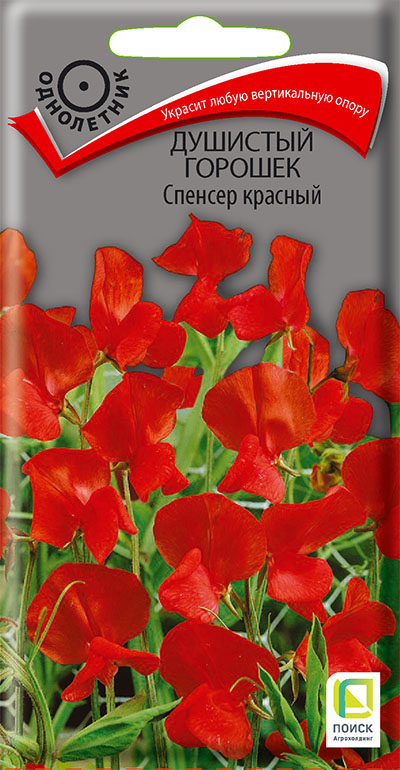 Душистый горошек СПЕНСЕР КРАСНЫЙ-si