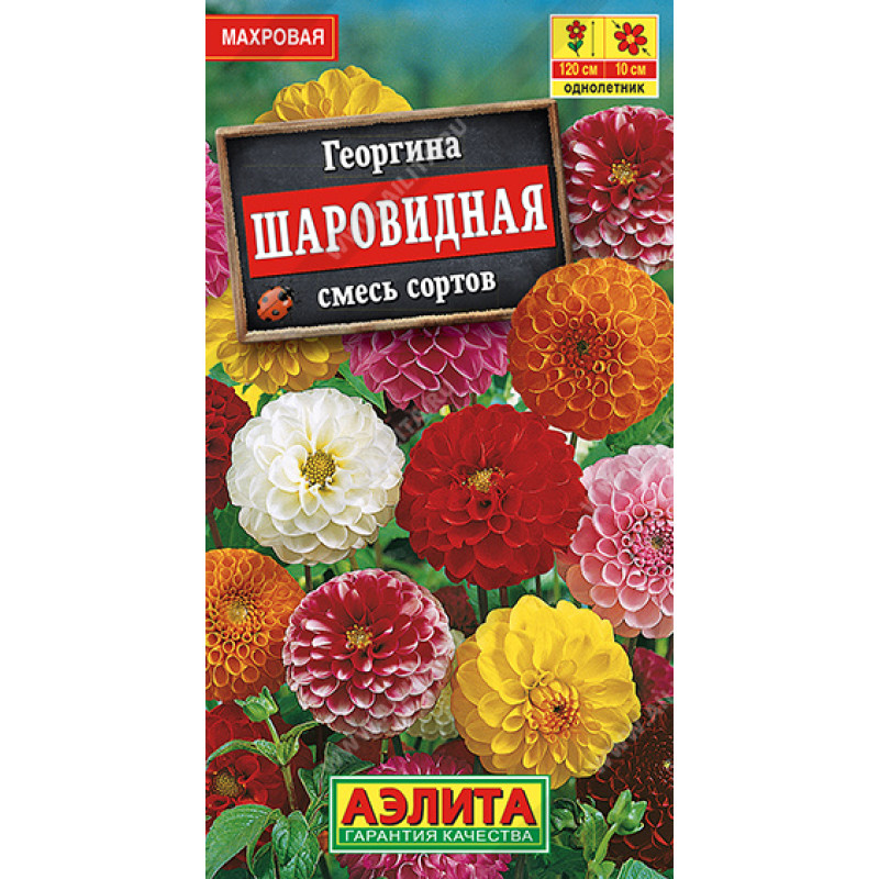 Цв.Георгина Шаровидная смесь (Аэлита)