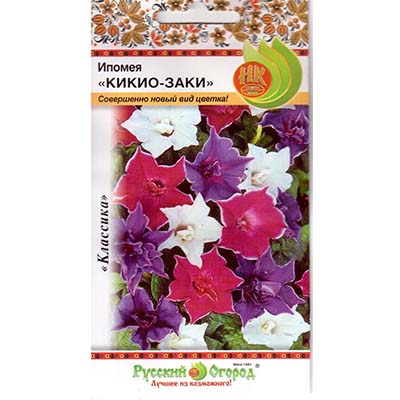 Ипомея - Кикио заки (нк)