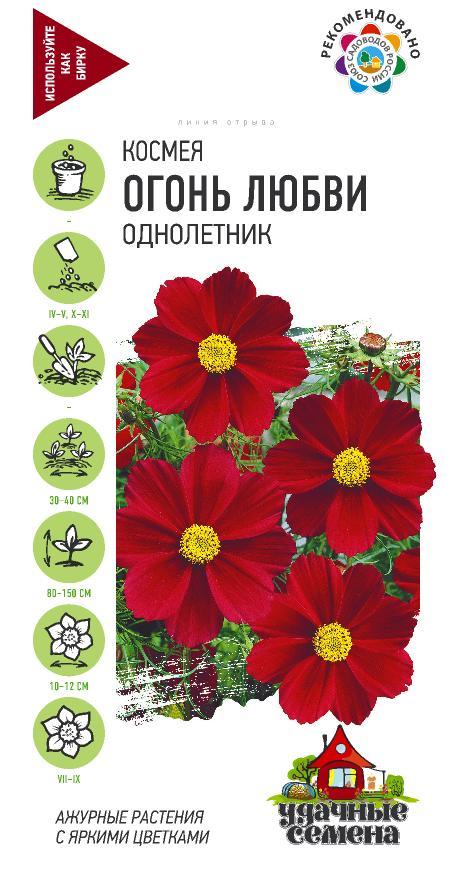 Космея - Огонь любви (гавриш)