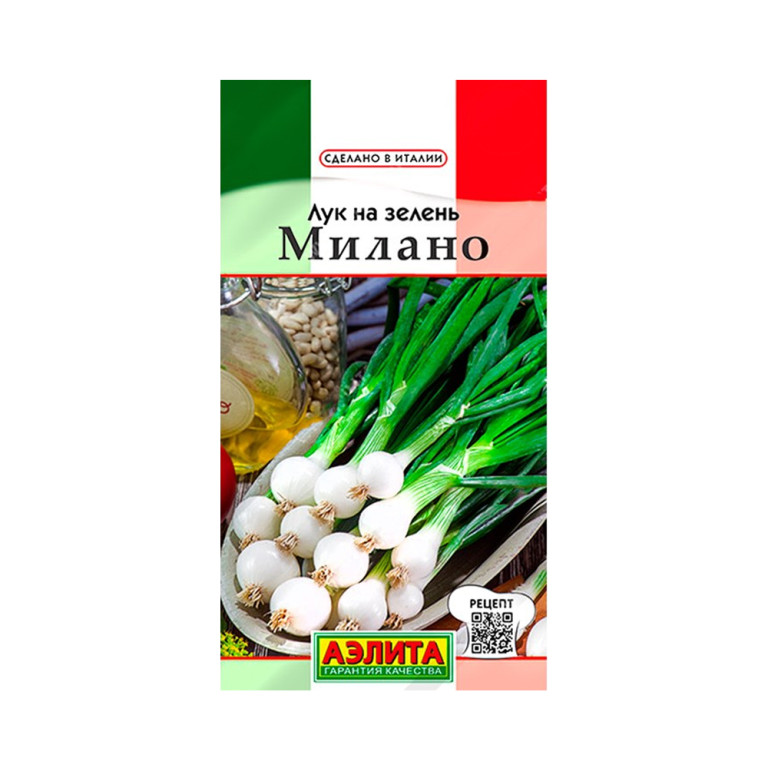 Лук На зелень Милано (Аэлита)