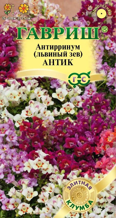 Львиный зев - Антик (гавриш)