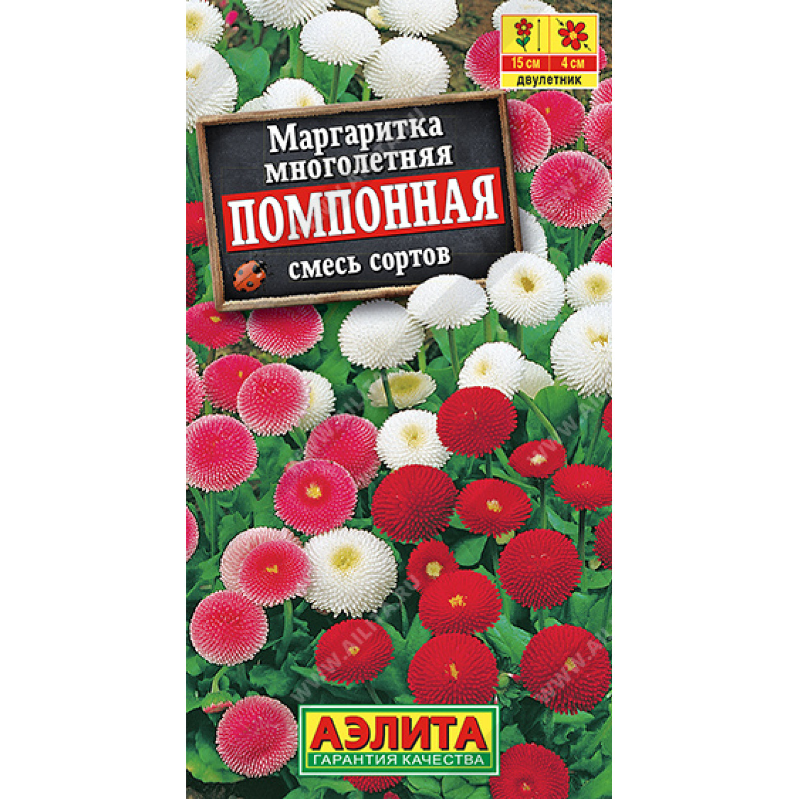 Маргаритки Семена Купить