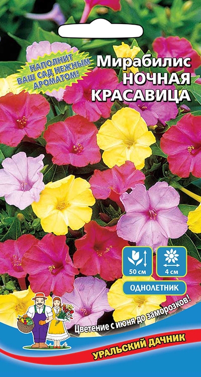Мирабилис - Ночная красавица (уд)