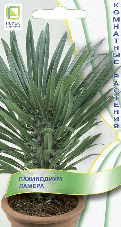 Пахиподиум ламера-silver150_zav.pdf