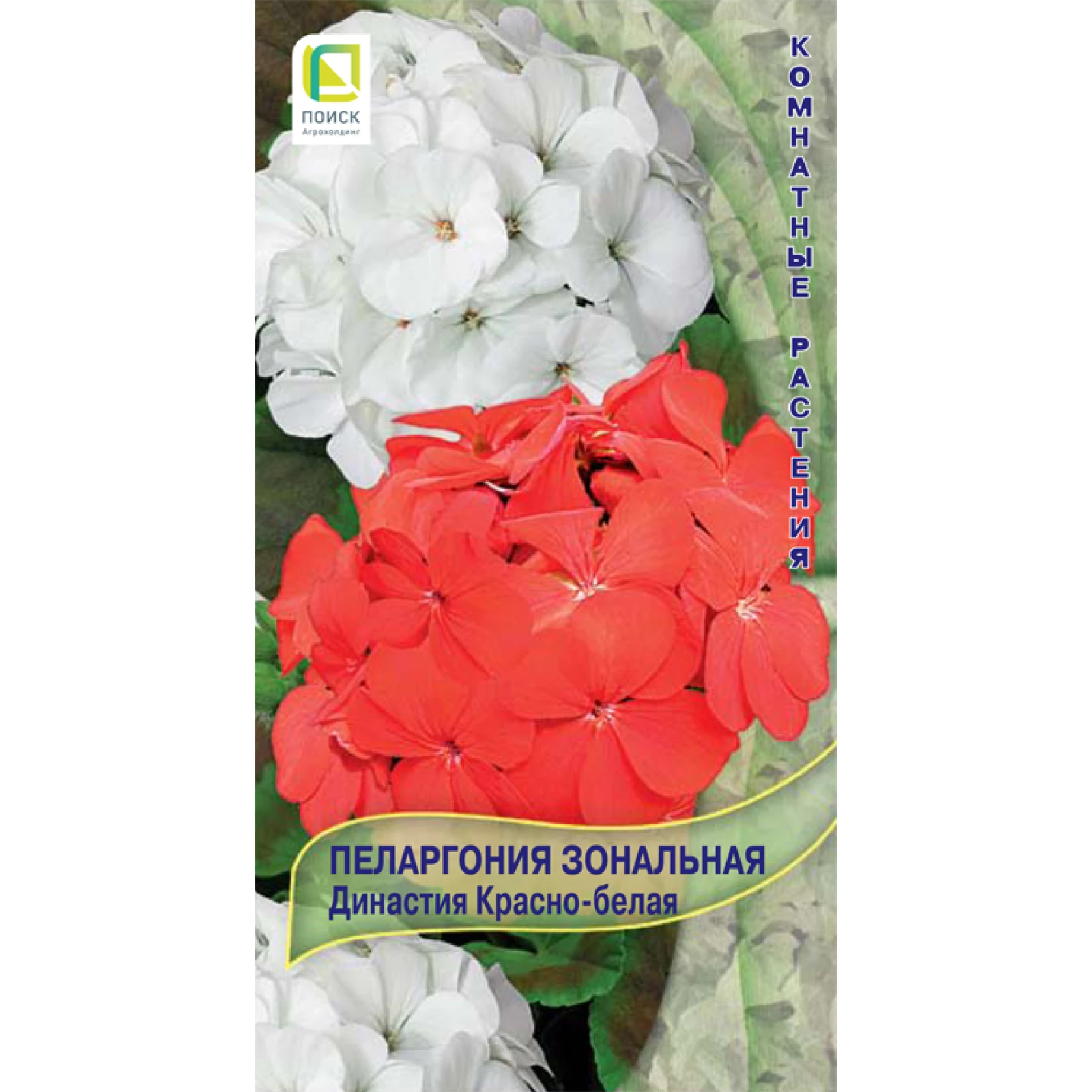 Пеларгония Зональная Купить В Горшке