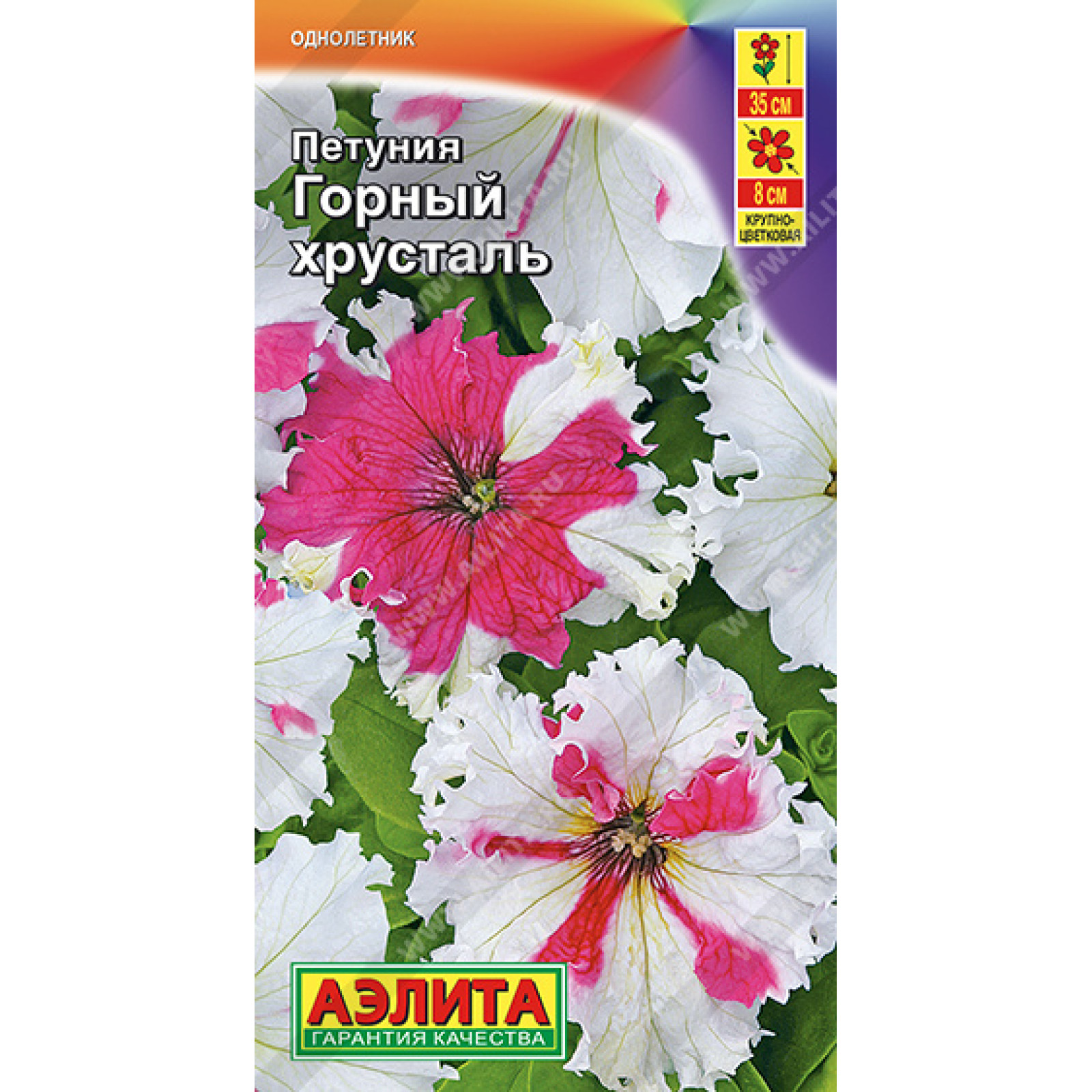 Петуния фимбриата. Петуния фриллитуния дайкири. Каркулка петуния грандифлора. Каркулка петуния грандифлора. Петуния бахромчатая крупноцветковая.