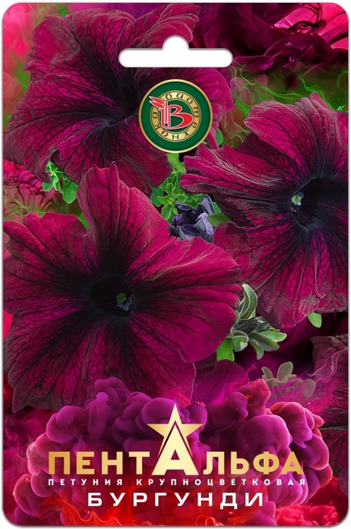 Петуния - Пентальфа бургунди (био)