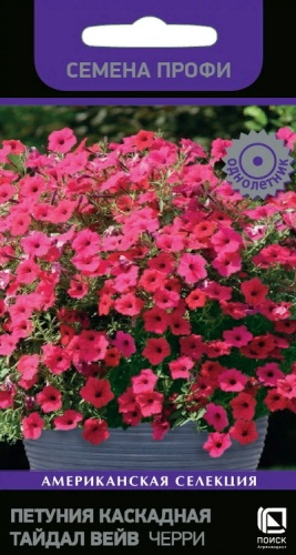 Петуния - Тайдал вейв черри (поиск)
