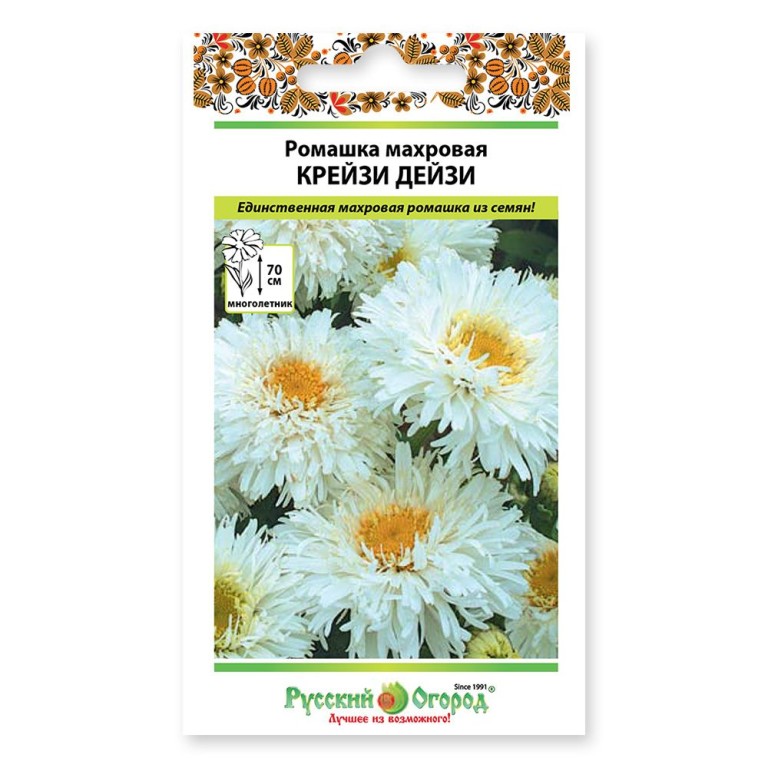 Цв.Ромашка Крейзи Дейзи (НК) 25шт