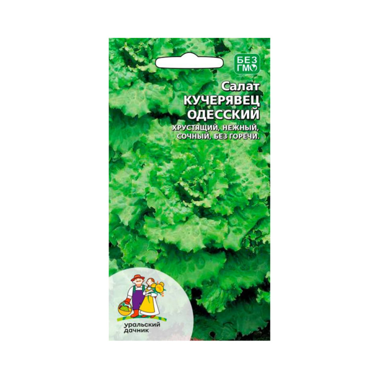 Салат Кучерявец Одесский (УД)