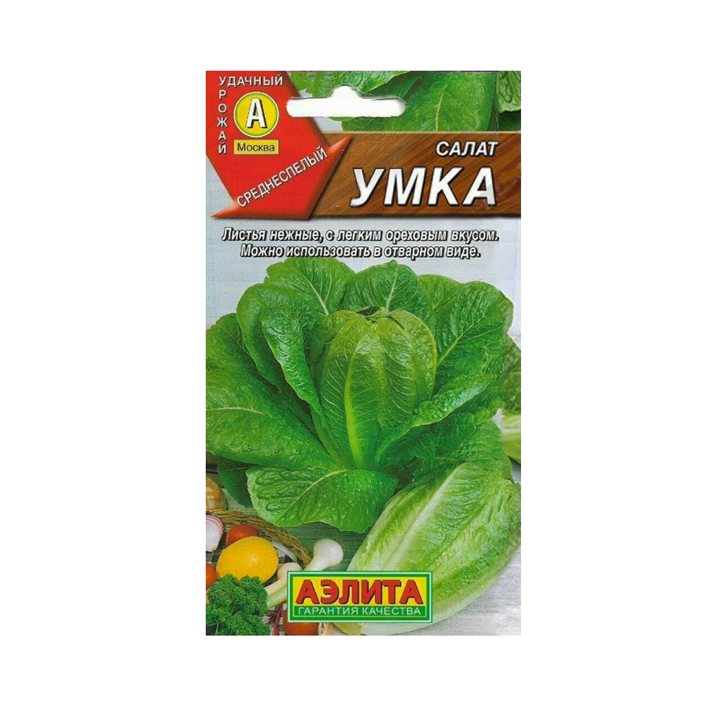 Салат Умка (Аэлита)