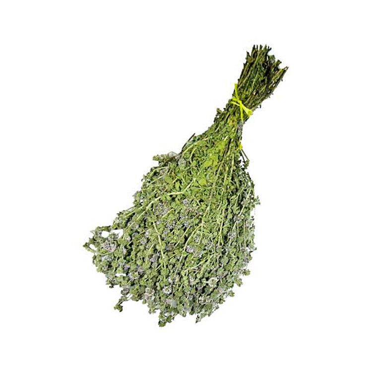 Сбор трав Мята анисовая (Сымов)