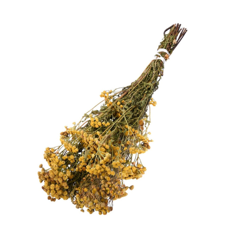 Сбор трав Пижма (Сымов)