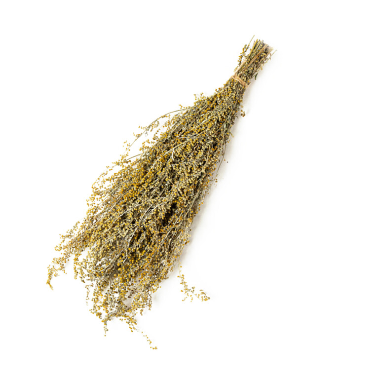 Сбор трав Полынь горькая (Сымов)