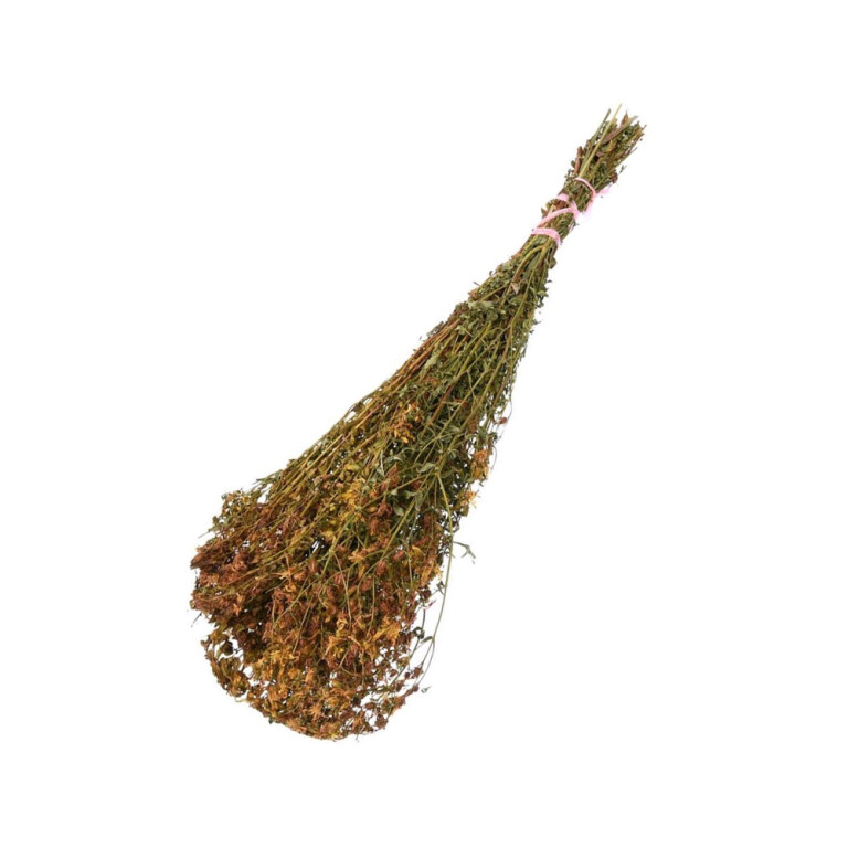 Сбор трав Зверобой (Сымов)