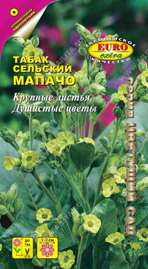 Табак сельский - Мапачо (аэлита)