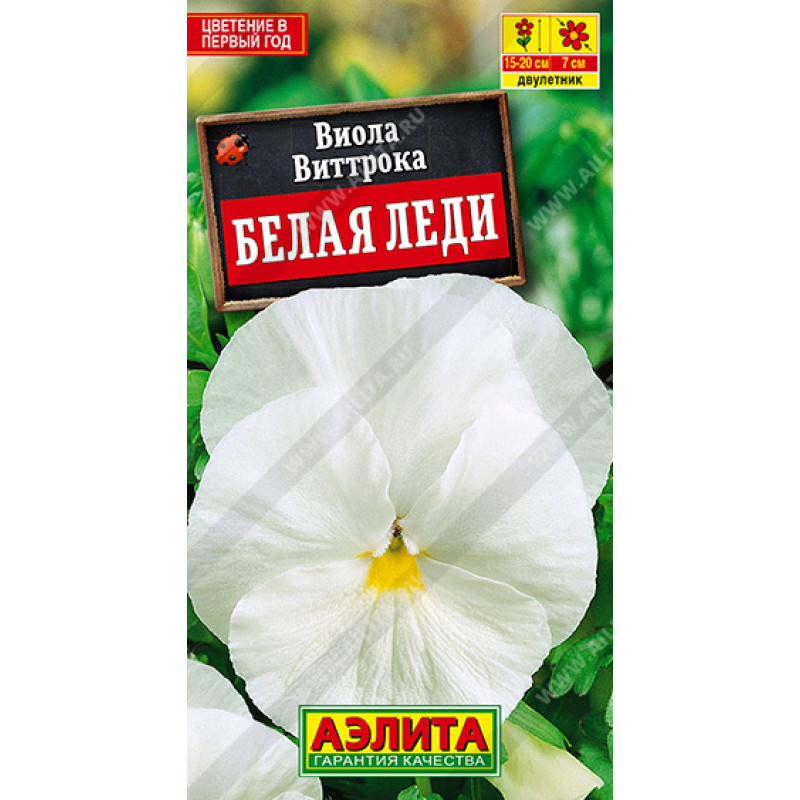 Цв.Виола Белая леди (Аэлита)