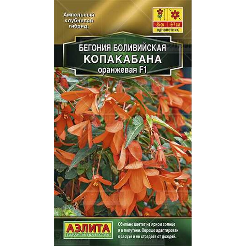 Цв.Бегония Копакабана оранжевая F1 (Аэлита)