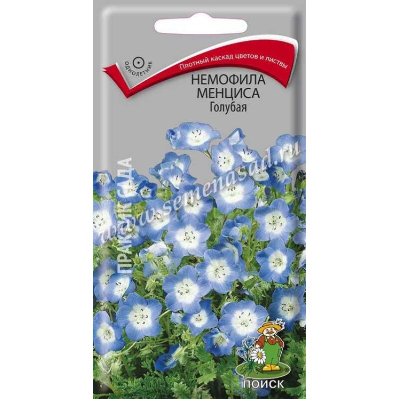 Цв.Немофила Менциса Голубая (Поиск) 0,09г