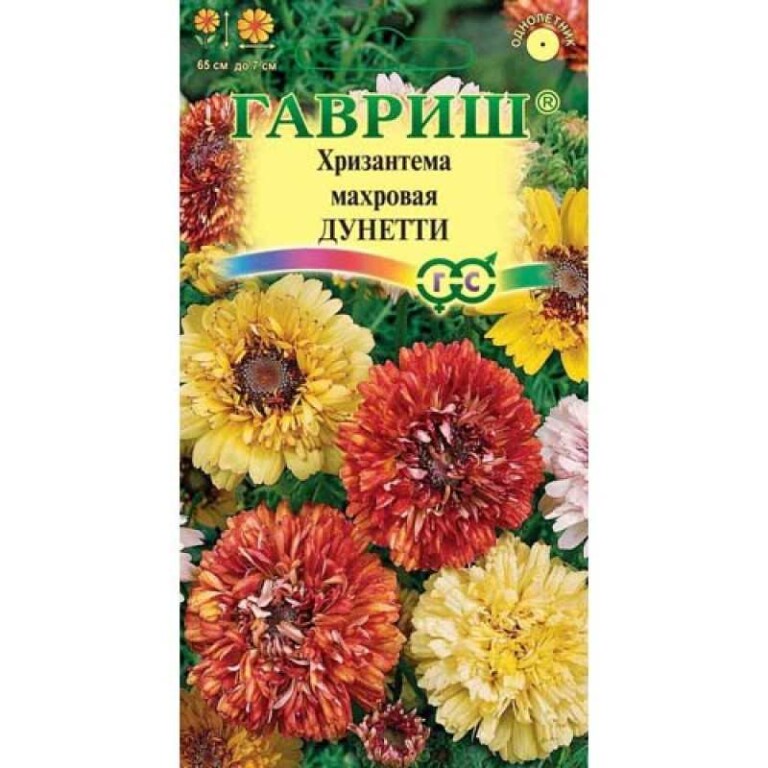 Цв.Хризантема Дунетти (Гавриш) 0,5г