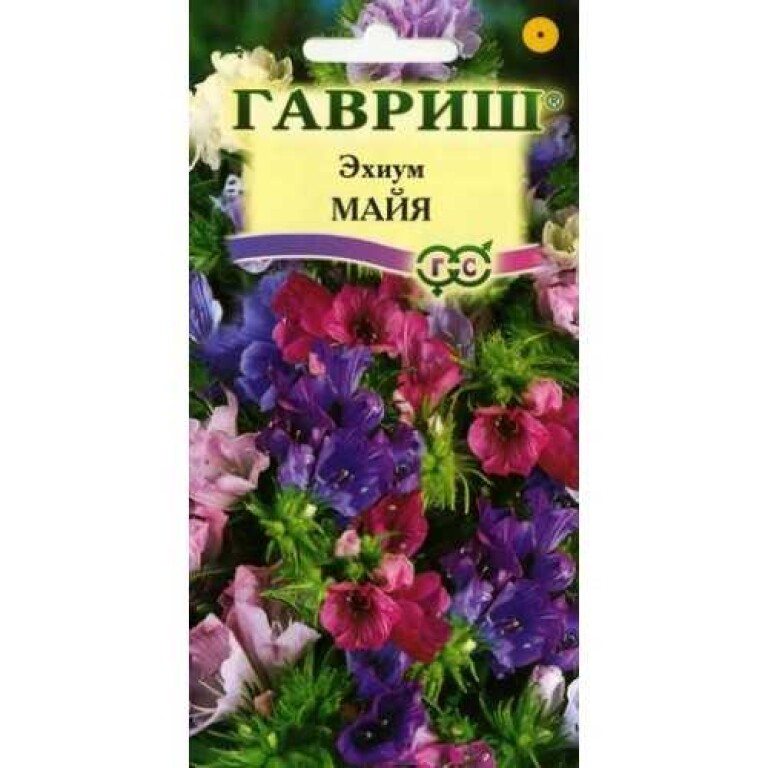 Цв.Эхиум Майя смесь (Гавриш)