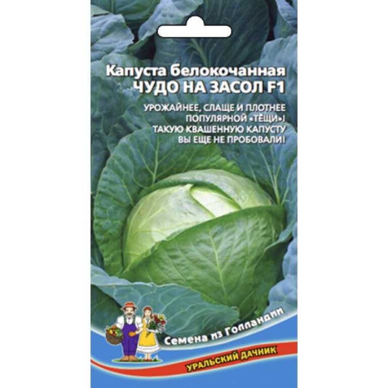 Капуста Чудо на засол F1 (УД) 0,3г