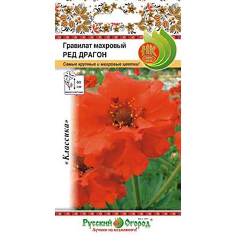 Цв.Гравилат Ред Драгон (мн) махр. (НК) 15шт