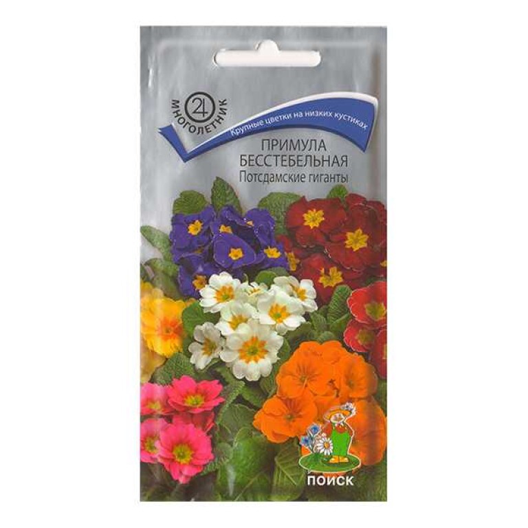 Цв.Примула Потсдамские гиганты (Поиск) 0,05г