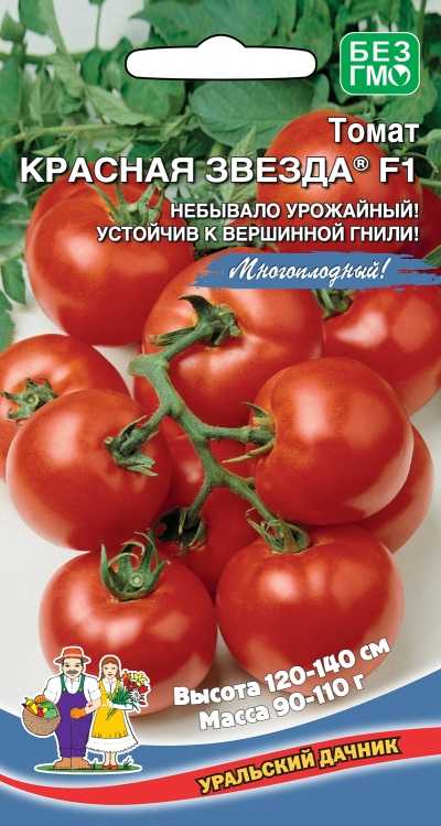 203041.970.jpg