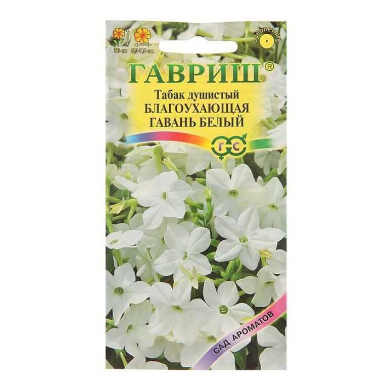 Цв.Табак душистый Благоухающая гавань белая (Гавриш)