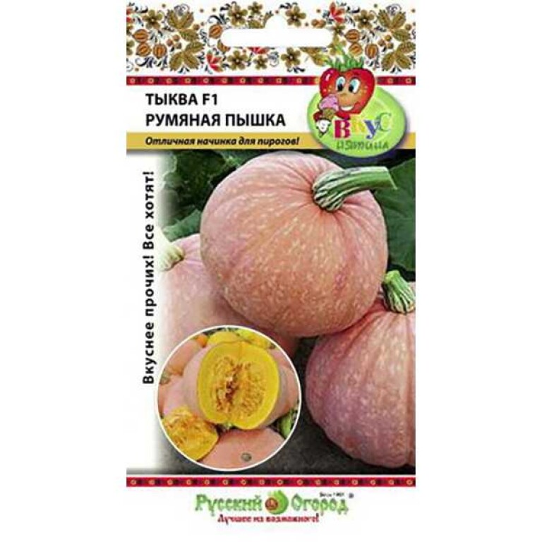 Тыква Румяная пышка F1 (НК) 5шт