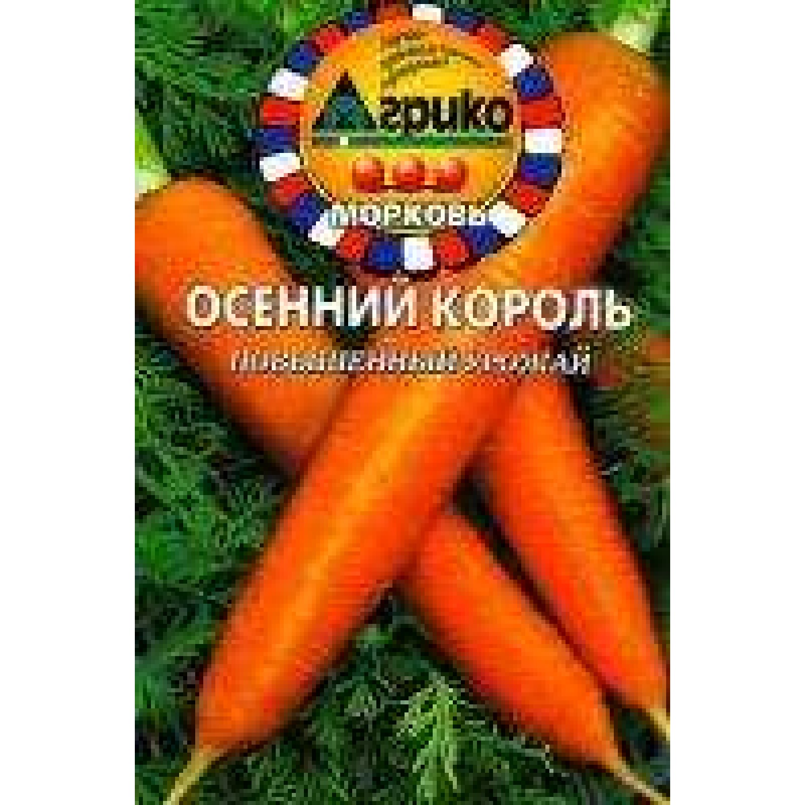 морковь норвегия