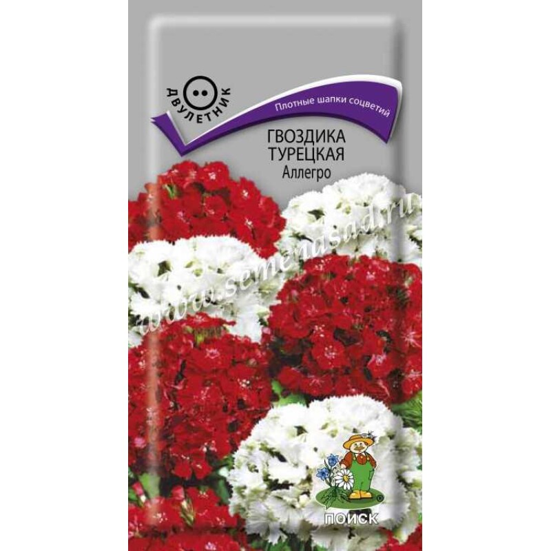 Цв.Гвоздика Турецкая Аллегро (Поиск) 0,3г/дв