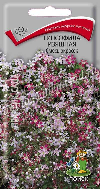 Цв.Гипсофила Смесь окрасок (Поиск) 0,2г