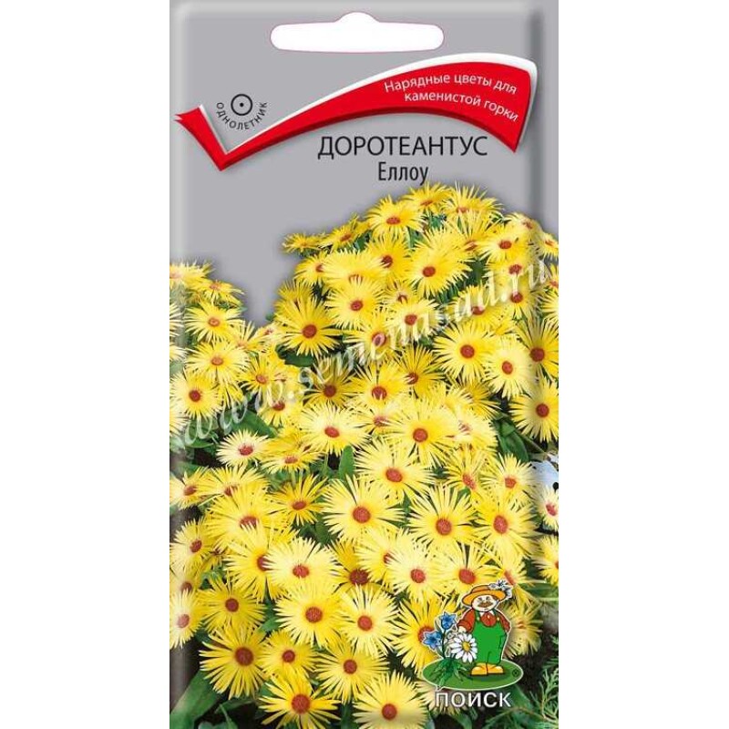 Цв.Доротеантус Еллоу (Поиск) 0,1г