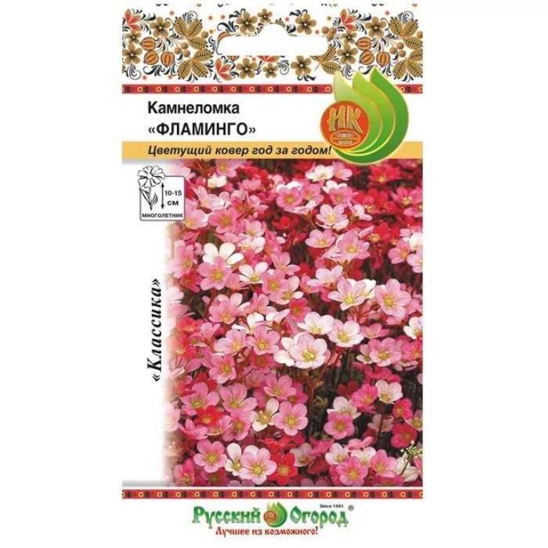 Цв.Камнеломка Фламинго смесь (НК) 200шт