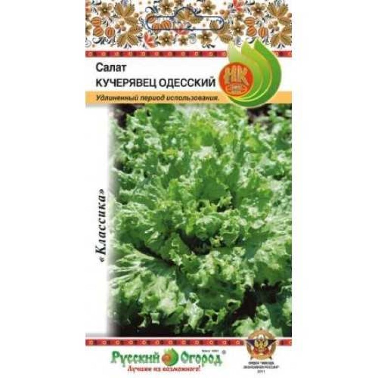 Салат Кучерявец Одесский (НК) 1г