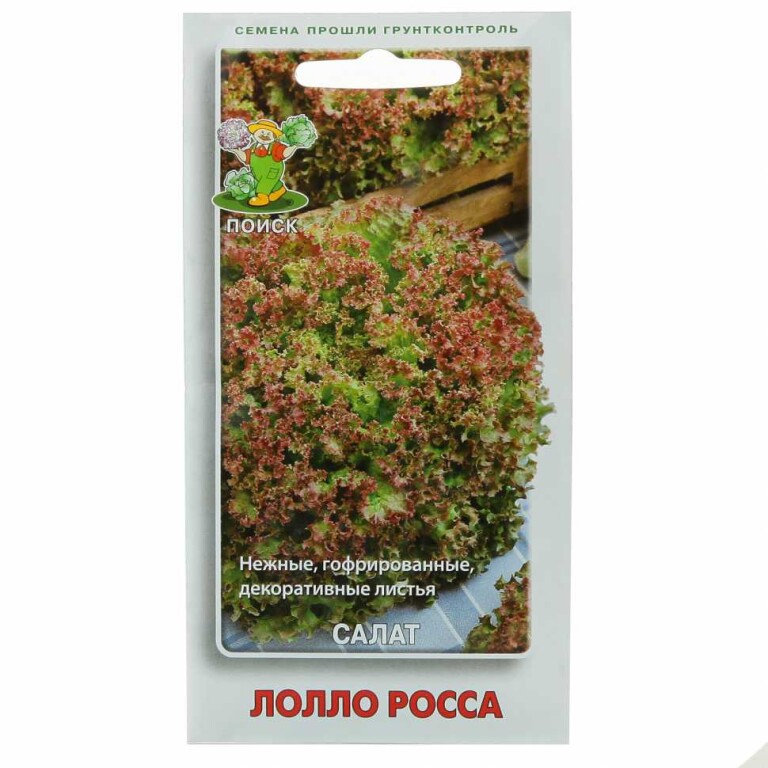 Салат Лолло Росса (Поиск) 1г