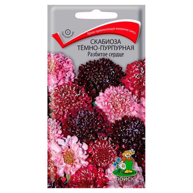 Цв.Скабиоза Разбитое сердце (Поиск) 10шт