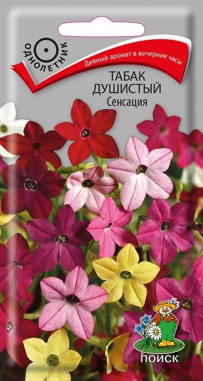 Цв.Табак душистый Сенсация (Поиск) 0,25г