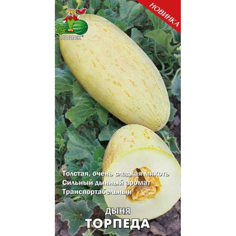 Дыня Торпеда (Поиск) 15шт