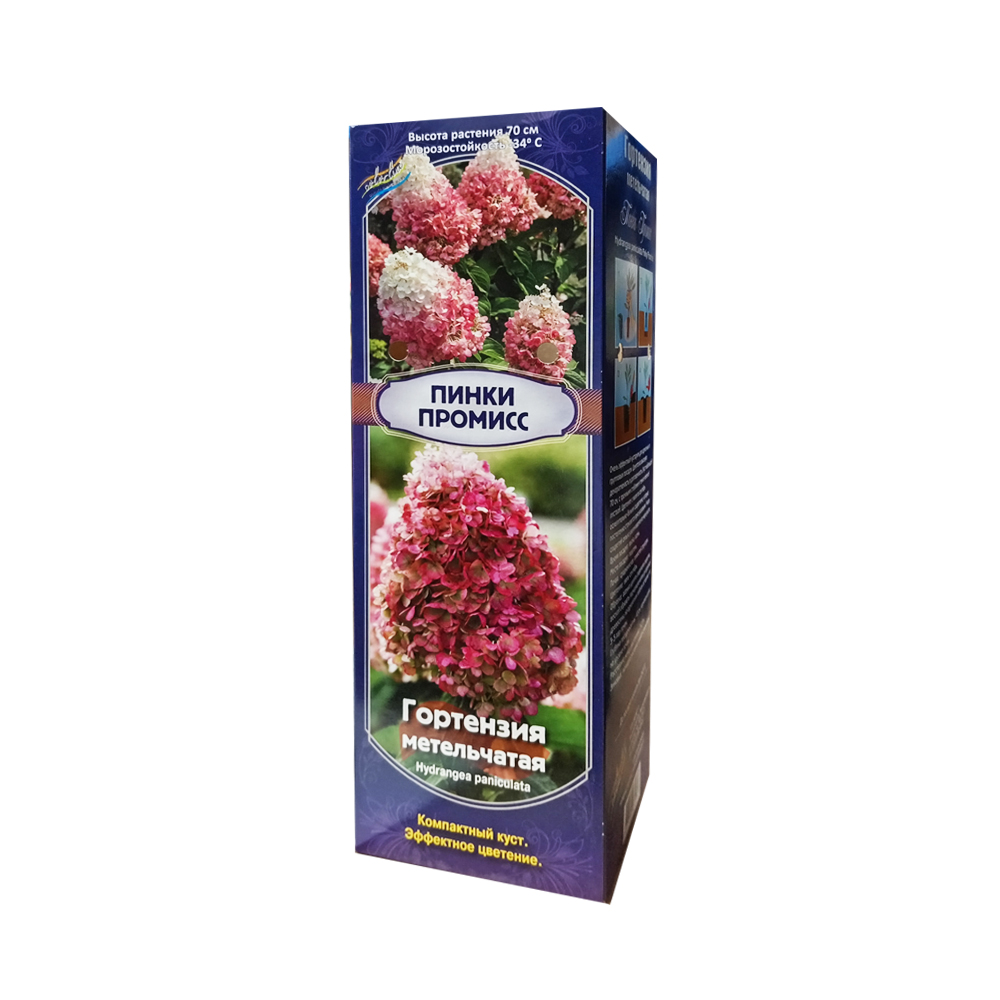 Гортензия Пинки Промис Р8 (ИС) метельчатая