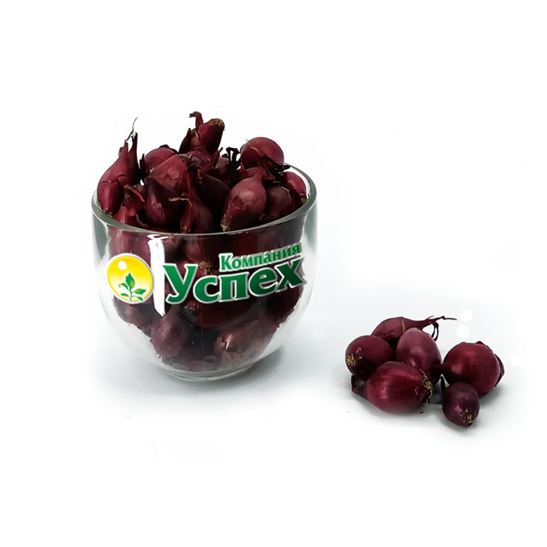 Лук севок Ред Барон 14/21 (Голландия) ~20кг (Broer)