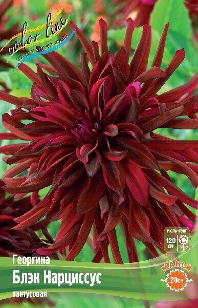 n66s00f1gtnf2h4eehrqixucv81qu9gh