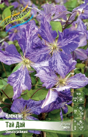 тай дай 34565475416c7449