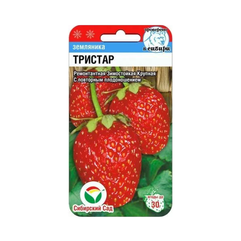 Земляника Тристар (Сиб.Сад) 10шт