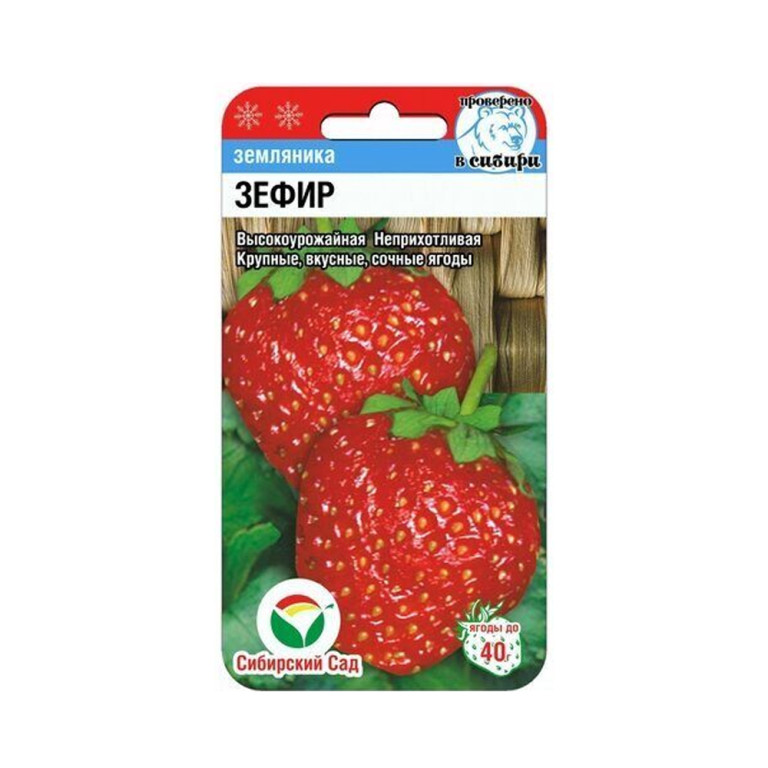 Земляника Зефир (Сиб.Сад) 10шт